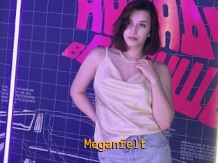 Meganfelt