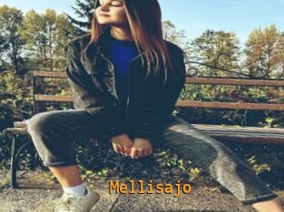 Mellisajo