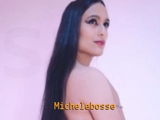 Michelebosse