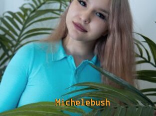 Michelebush