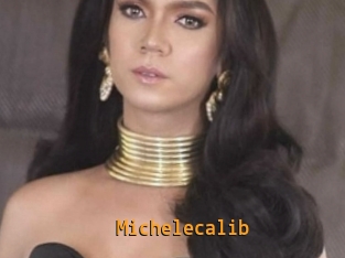 Michelecalib