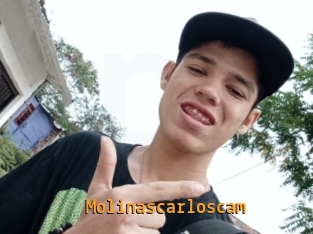 Molinascarloscam