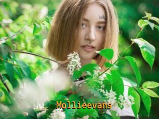 Mollieevans