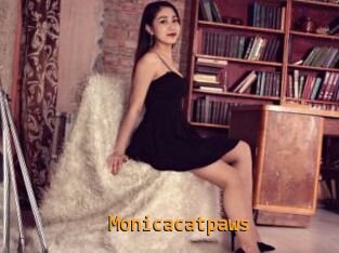 Monicacatpaws