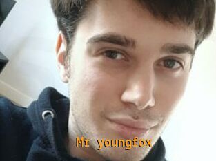 Mr_youngfox