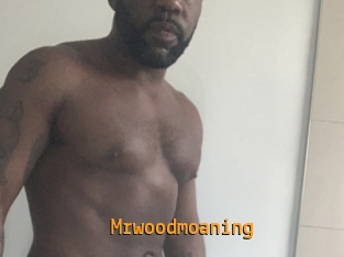 Mrwoodmoaning