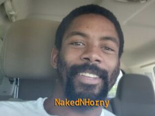 NakedNHorny