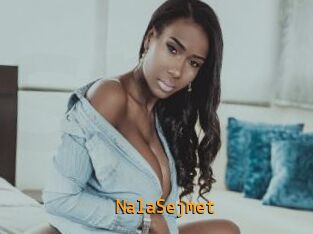 NalaSejmet