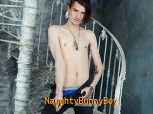 NaughtyBunnyBoy
