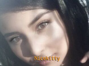 Nicekitty