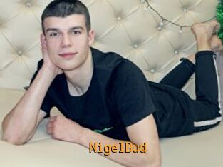 NigelBud