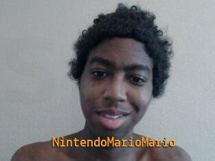 NintendoMarioMario