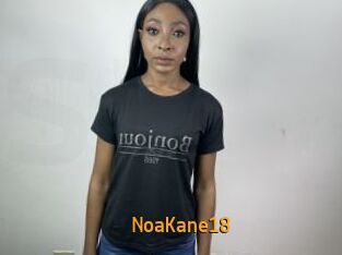NoaKane18