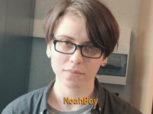 NoahBoy