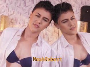NoahRobert