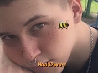 NoahSweet