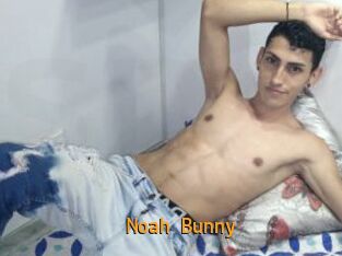 Noah_Bunny