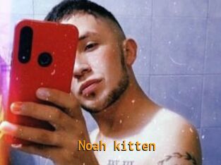 Noah_kitten