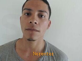 Noren_tor