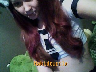 nakidturtle Sexcam Portal