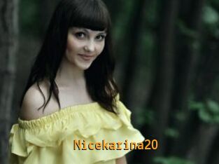 Nicekarina20