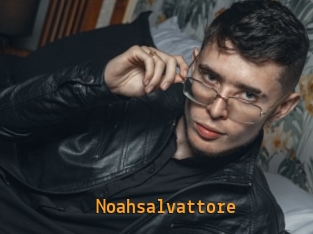 Noahsalvattore