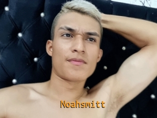 noahsmitt Sexcam Portal