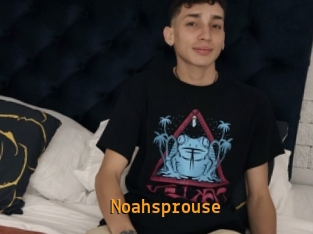 Noahsprouse