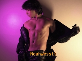 Noahwesstt