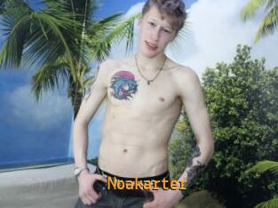 Noakarter