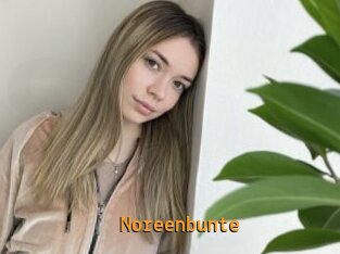 Noreenbunte