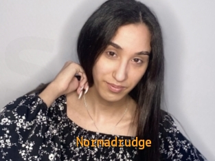 Normadrudge