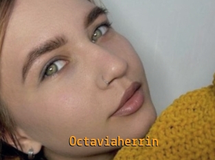 Octaviaherrin