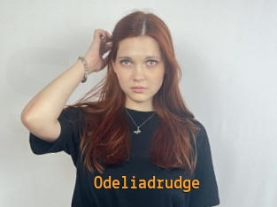 Odeliadrudge