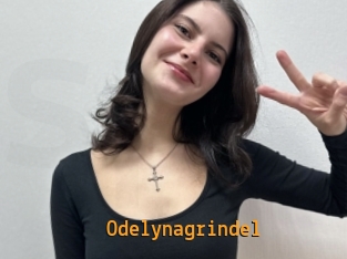 Odelynagrindel