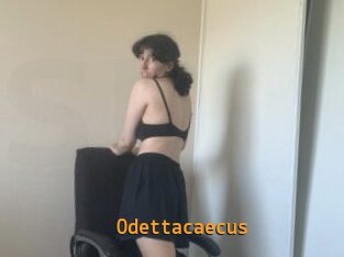 Odettacaecus