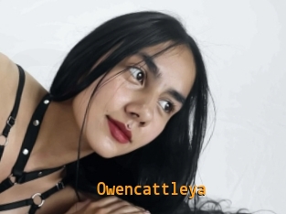 Owencattleya