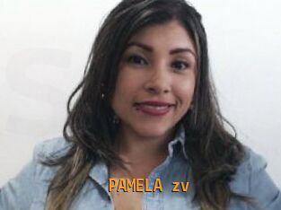 PAMELA_zv