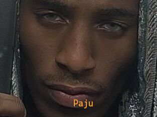 Paju