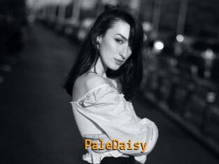 PaleDaisy