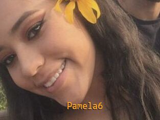 Pamela6