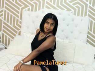 PamelaTuner