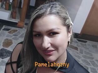 Pamelahorny
