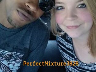 PerfectMixture3828