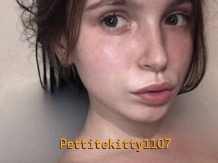 Pettitekitty1107