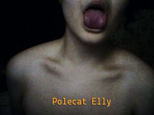 Polecat_Elly