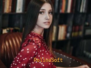 PolinaSoft