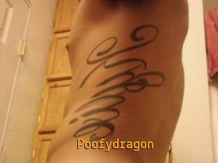 Poofydragon