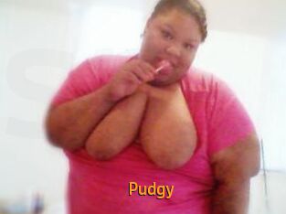 Pudgy