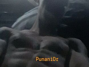PunaniDr